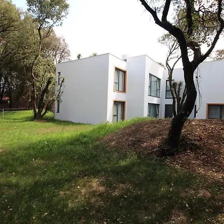 Apartment Pequeno En Somo