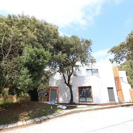 Pequeno En Apartment Somo