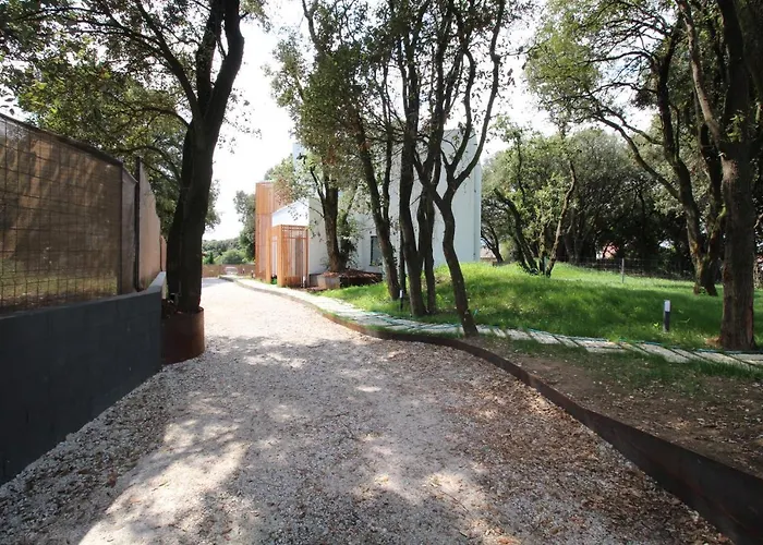 Pequeno En Apartment *