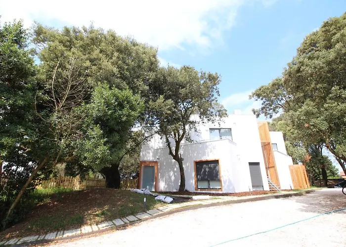 Pequeno En Daire Somo